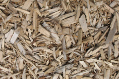 biomass boilers Greysouthen
